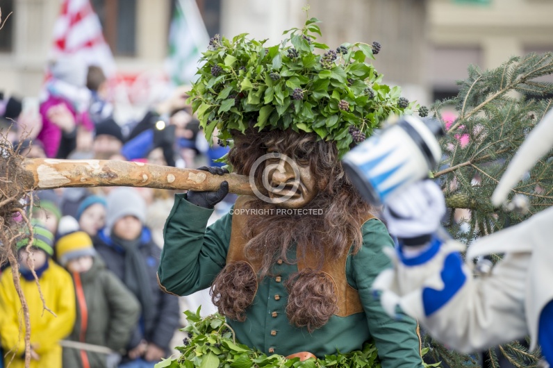 VOGEL GYRFF 2018