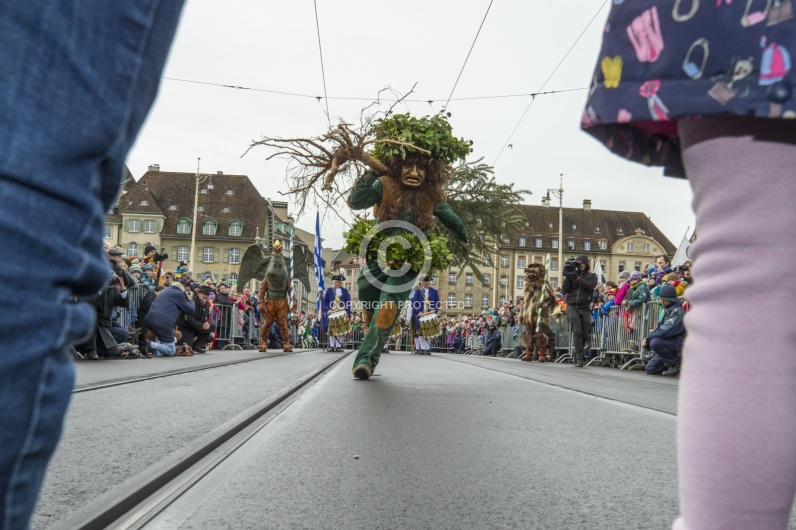 VOGEL GYRFF 2018