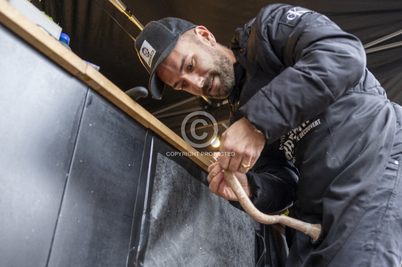 Bell Hot Dog Challenge 2025