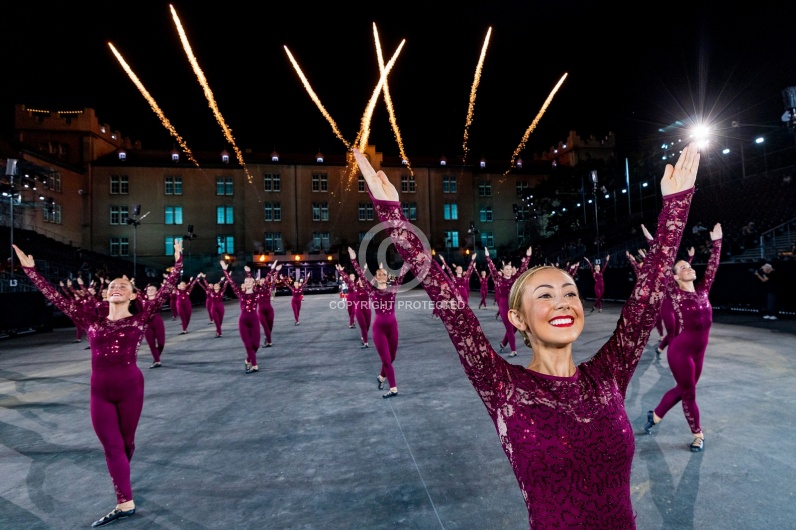 SWITZERLAND BASEL TATTOO