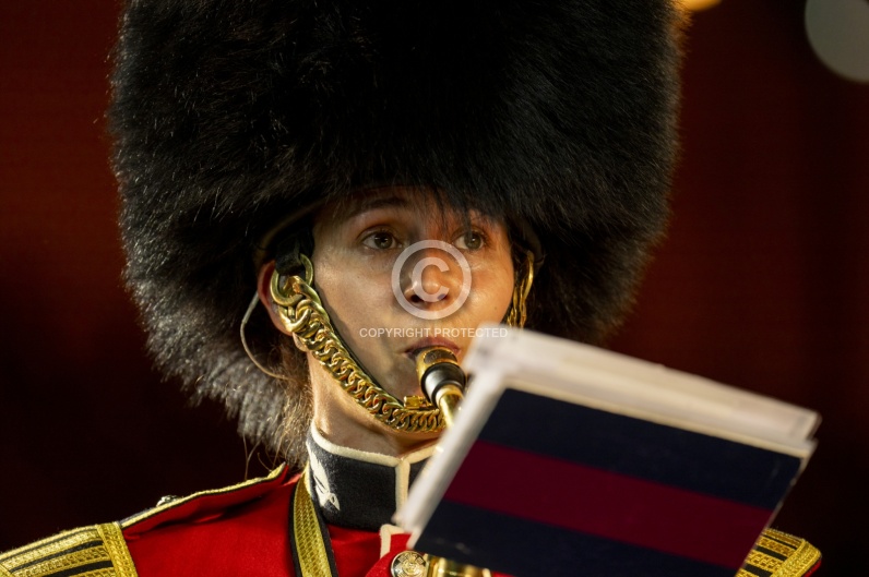 BASEL TATTOO 2026 Premiere