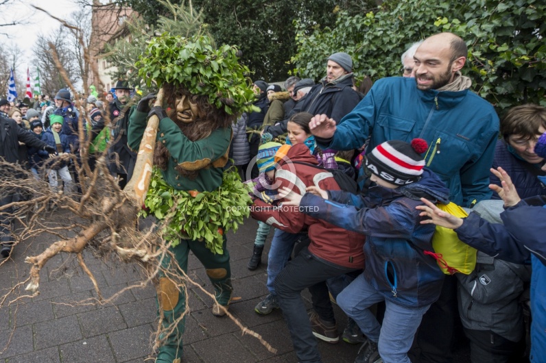 VOGEL GYRFF 2018