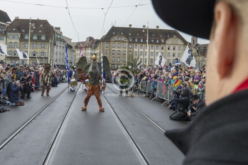 VOGEL GYRFF 2018