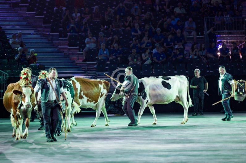 SWITZERLAND BASEL TATTOO