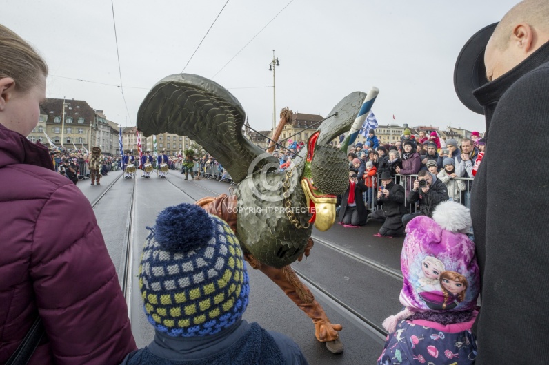 VOGEL GYRFF 2018