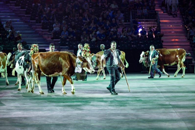 SWITZERLAND BASEL TATTOO