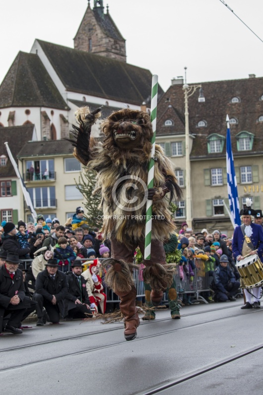 VOGEL GYRFF 2018