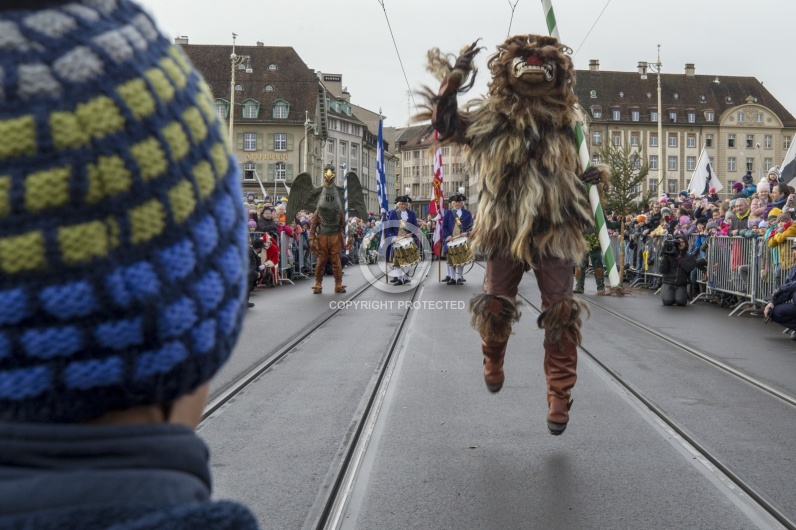 VOGEL GYRFF 2018