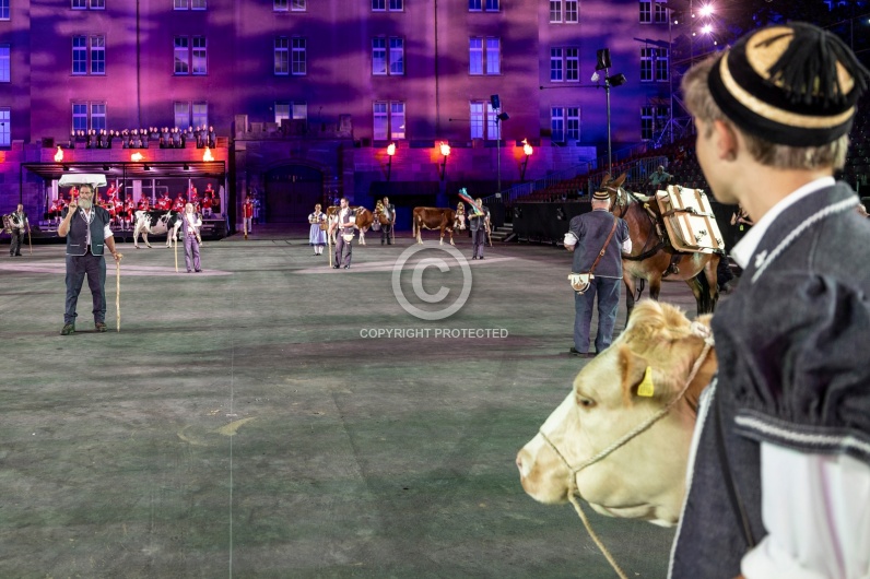SWITZERLAND BASEL TATTOO