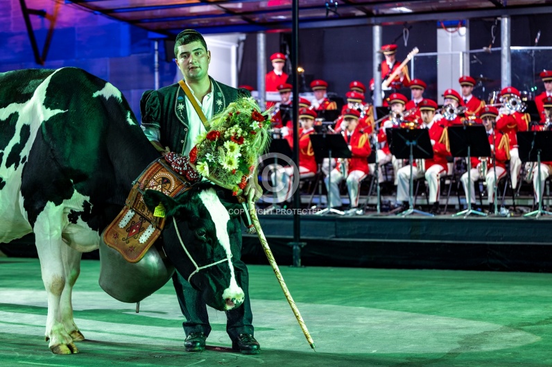SWITZERLAND BASEL TATTOO