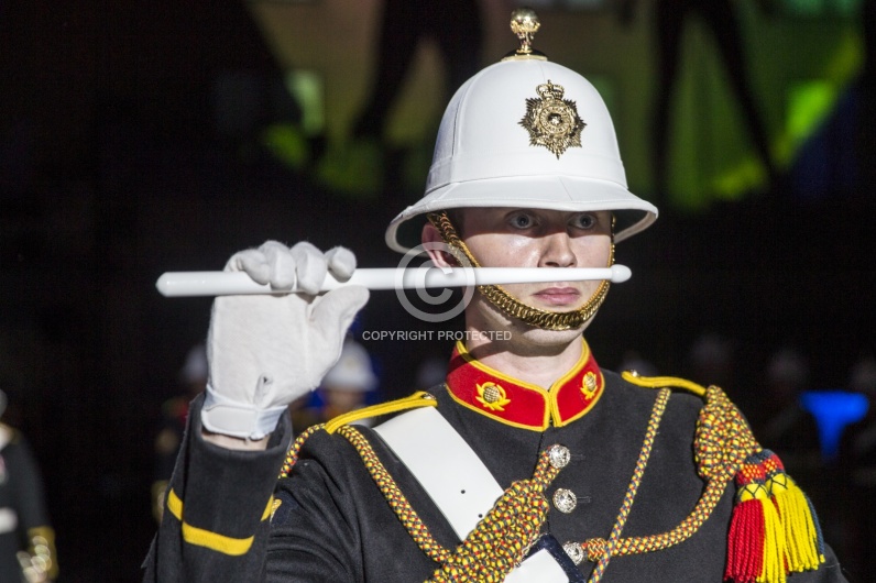 BASEL TATTOO 2016