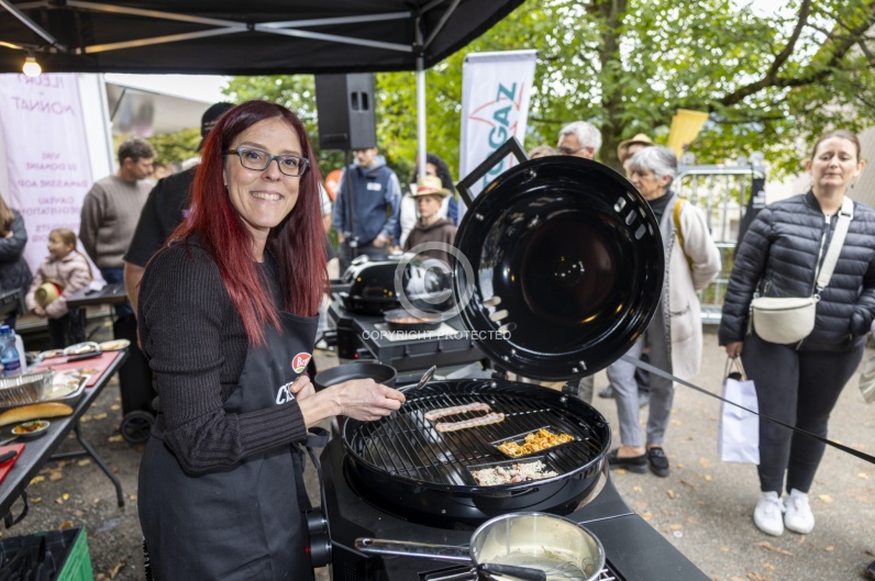 Bell Hot Dog Challenge 2025