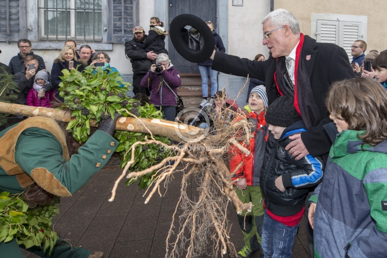 VOGEL GYRFF 2018