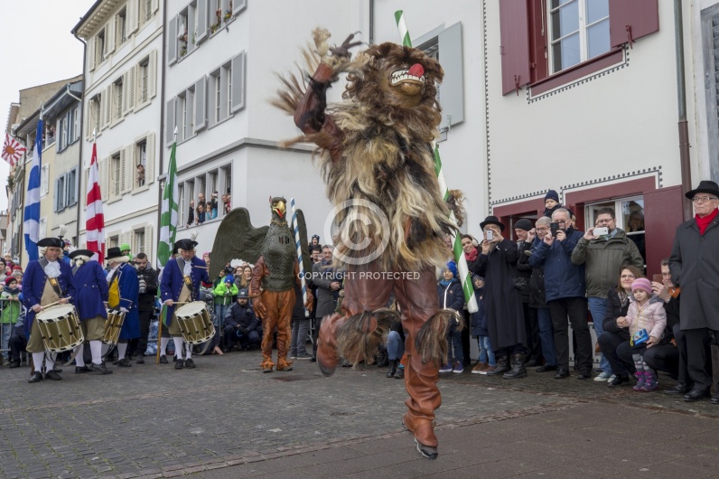 VOGEL GYRFF 2018