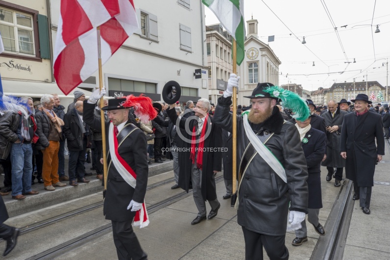 VOGEL GYRFF 2018