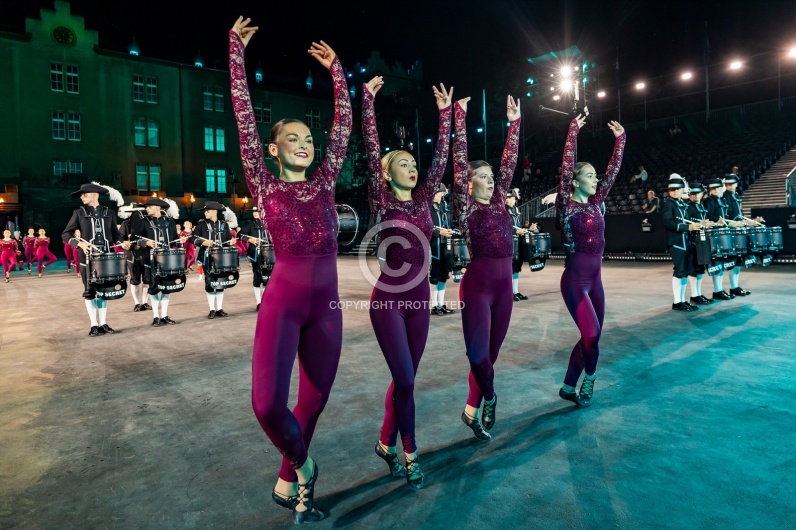 SWITZERLAND BASEL TATTOO
