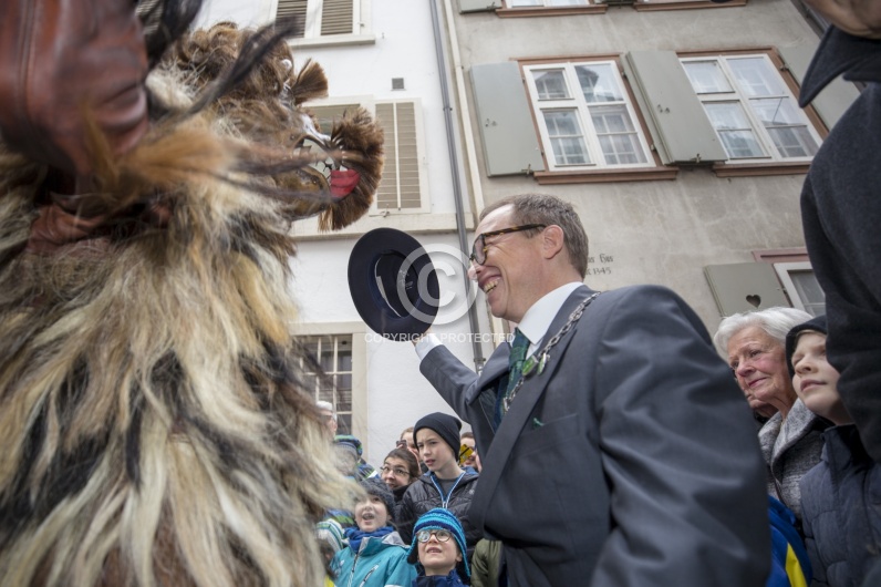 VOGEL GYRFF 2018