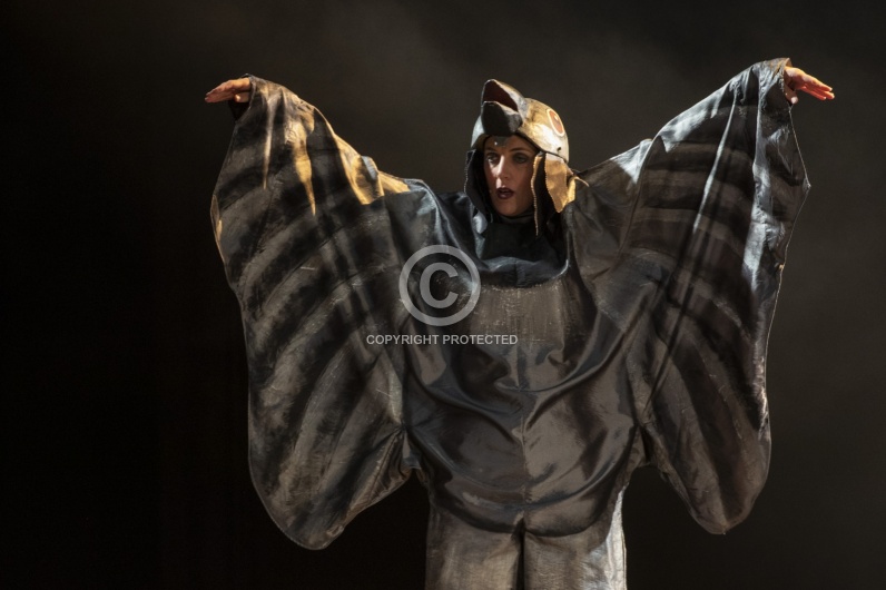 CHARIVARI 2019 Hauptprobe