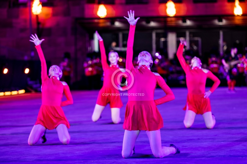 SWITZERLAND BASEL TATTOO