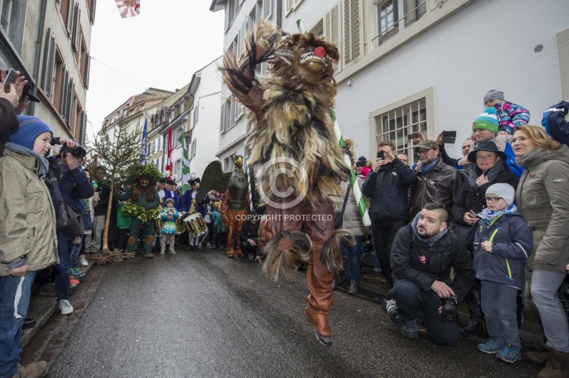VOGEL GYRFF 2018