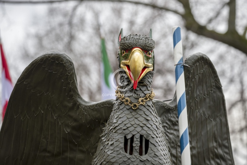 VOGEL GYRFF 2018