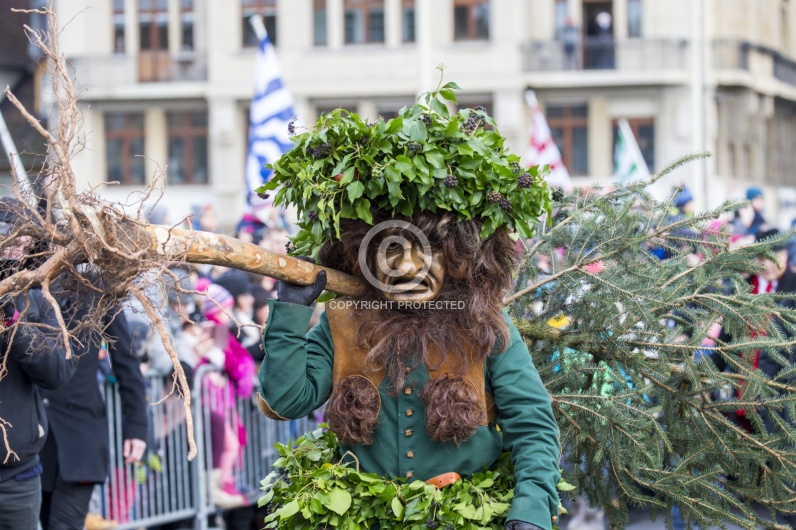 VOGEL GYRFF 2018