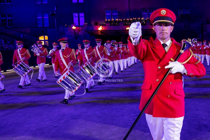 SWITZERLAND BASEL TATTOO