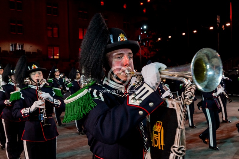 SWITZERLAND BASEL TATTOO