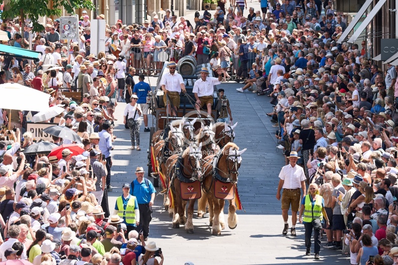 BASEL TATTOO PARADE 2026