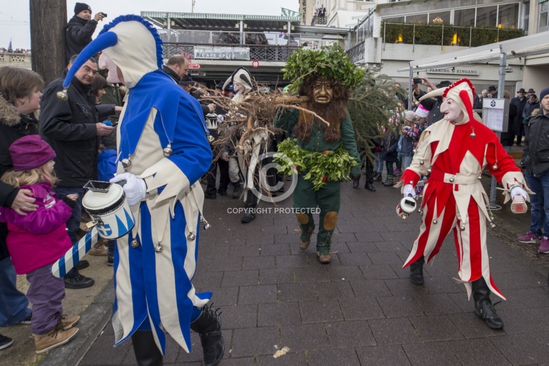 VOGEL GYRFF 2018