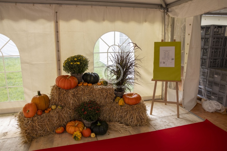 30 Jahre Schaer Pharma
