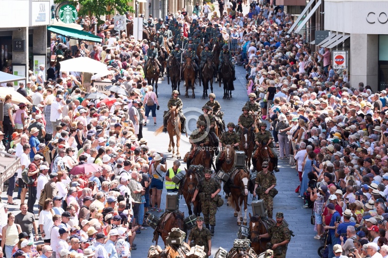 BASEL TATTOO PARADE 2026