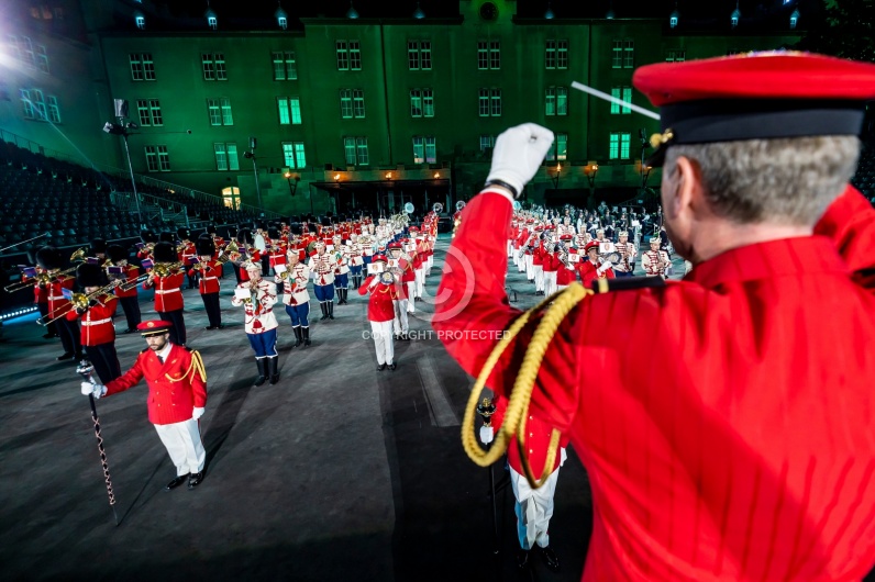 SWITZERLAND BASEL TATTOO