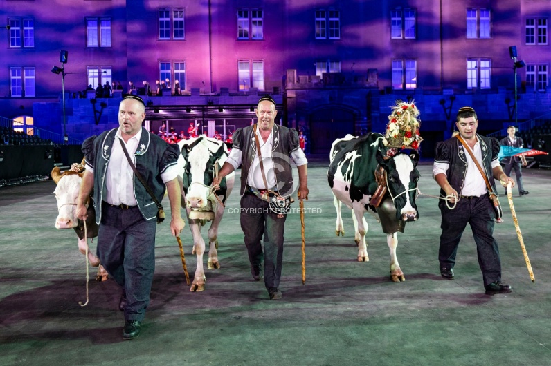 SWITZERLAND BASEL TATTOO