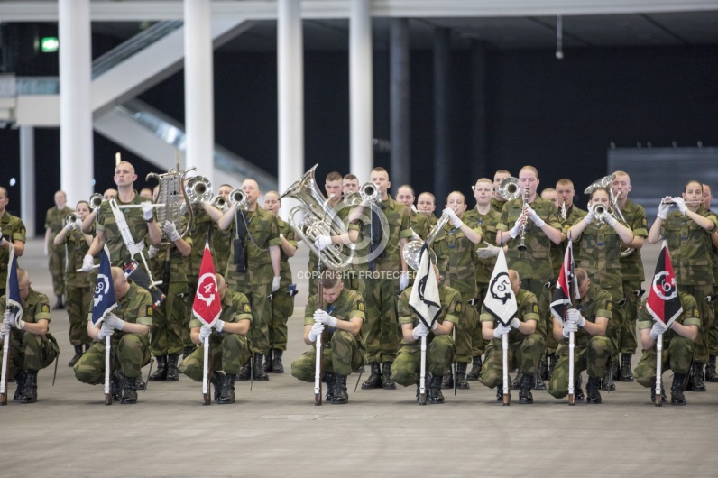 BASEL TATTOO 2017 PROBEN