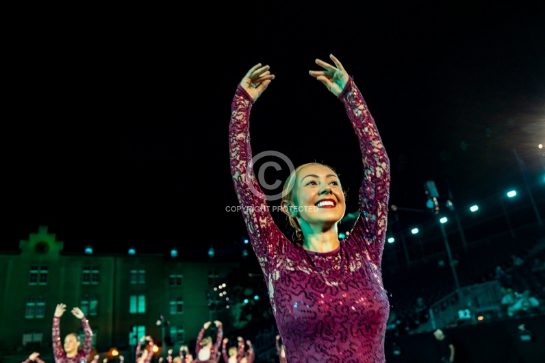 SWITZERLAND BASEL TATTOO