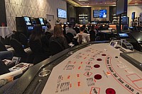 BASEL TATTOO 2026 PRESSEKONFERENZ