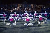 BASEL TATTOO 2016