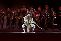 BASEL TATTOO 2024 SHOW