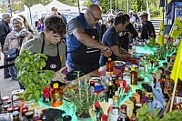 2025 Bell BBQ Single Masters Finale - Finalrunde