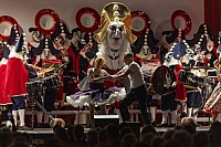 Guggemuusig Ohregribler - Gala Abend