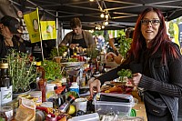 Bell Hot Dog Challenge 2025