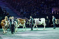 SWITZERLAND BASEL TATTOO