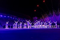 BASEL TATTOO 2024 SHOW