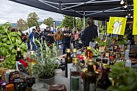 Bell Hot Dog Challenge 2025