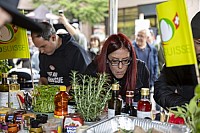 Bell Hot Dog Challenge 2025