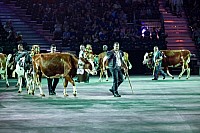 SWITZERLAND BASEL TATTOO