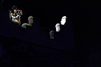 BASEL TATTOO 2025 HAUPTPROBE