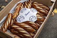 Bell Hot Dog Challenge 2025