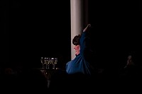 GLAIBASLER CHARIVARI 2026